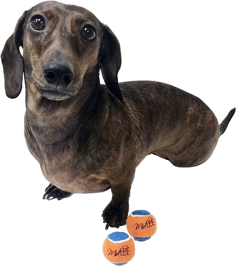 Midlee Squeaky Mini Tennis Ball for Dogs 1.5"- Pack of 12 (Orange/Blue) - Image 3